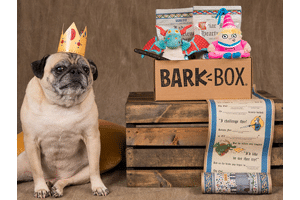 barkbox