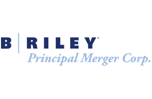 B.-Riley-Principal-Merger-Logo-2