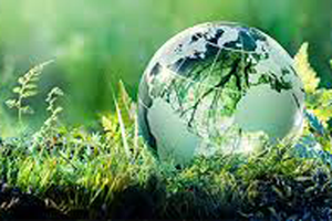 sustainability