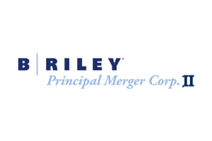 B.-Riley-II-logo