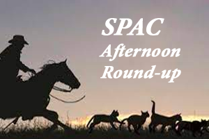 SPAC round-up